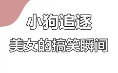 日本在线播放一区
